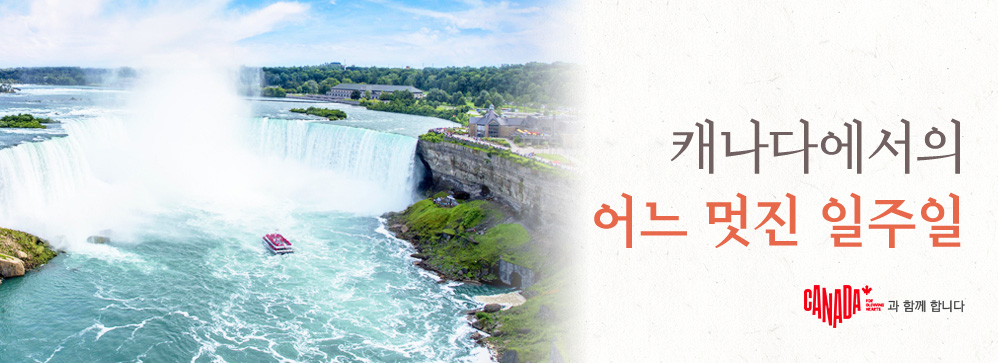 ĳ���ٿ����� ��� ���� ������